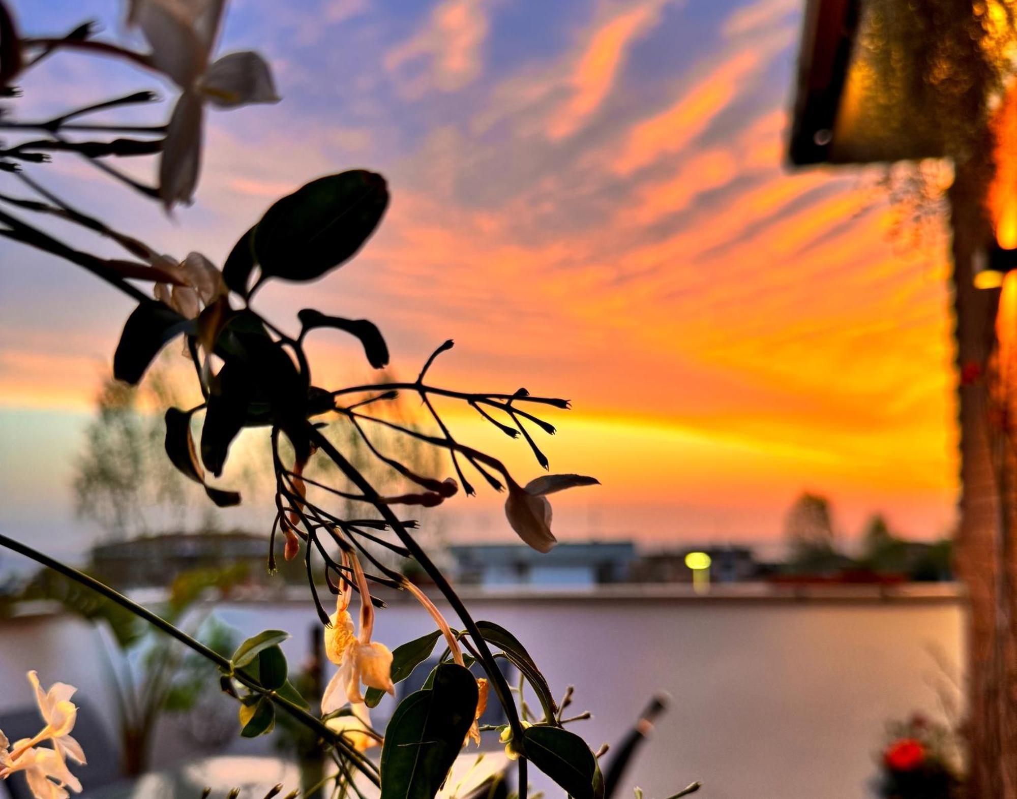 Kesya Seaview Apartment - Attico - 50Mt Dal Mare Anzio Dış mekan fotoğraf